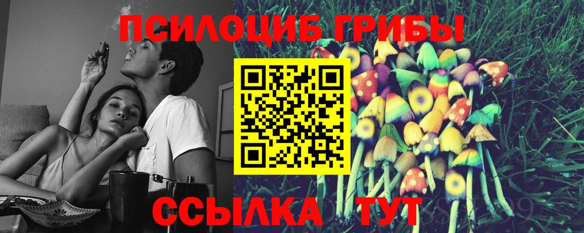 Галлюциногенные грибы Psilocybe Балашов