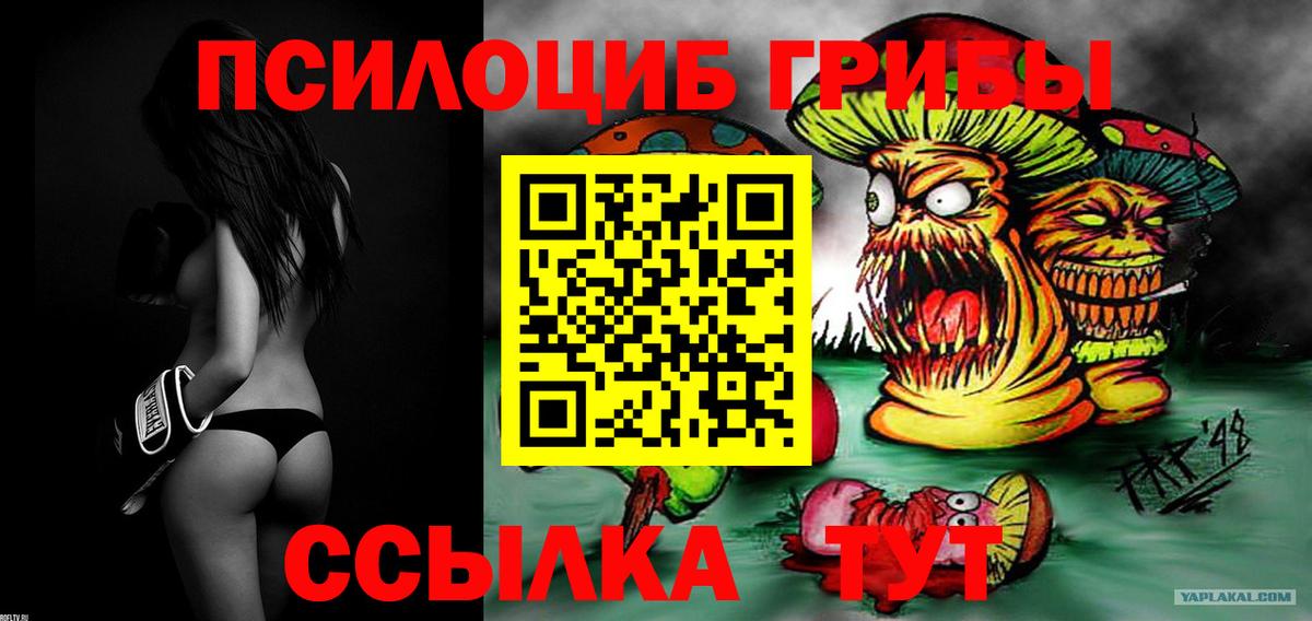Псилоцибиновые грибы Cubensis  Вход с VPN  Балашов  Псилоцибиновые грибы Magic Shrooms 